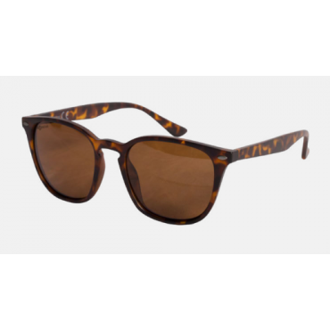 Korda Shoreditch - Matt Tortoise Shell/Brown Lens