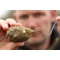 Korda Bait-Up Method Feeder 35g