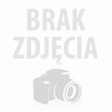 Łodzie Zdalnie Sterowane