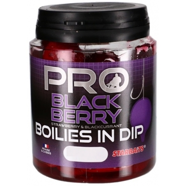 Starbaits Boilies in Dip Blackberry 150g 24mm