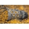 Preston Hexmesh Bullet Feeders Large 40g