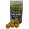 Starbaits Ginger Squid Hard 24mm 200g